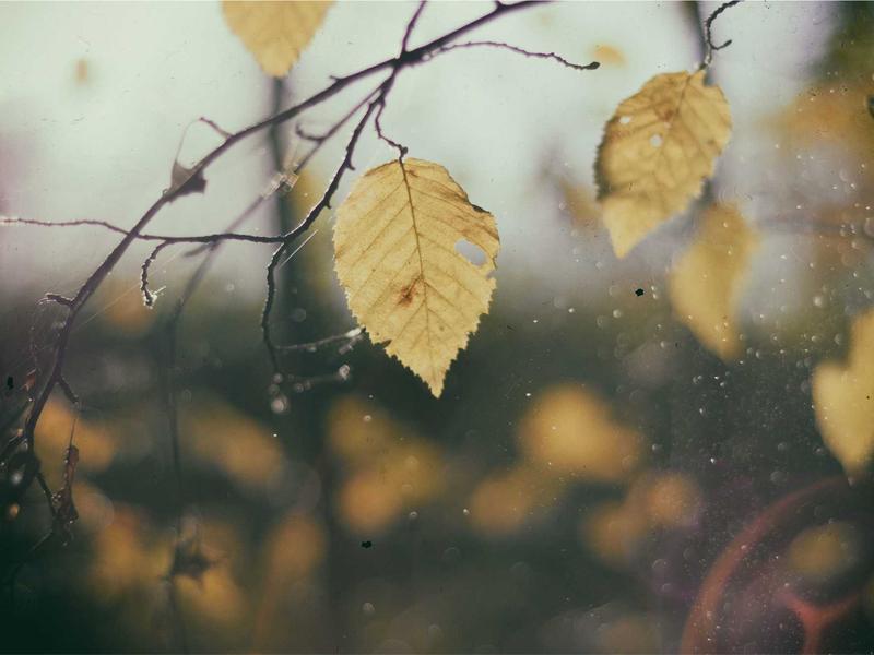 时间晶体<br>qyi4ujty.cn 永动四维结构
